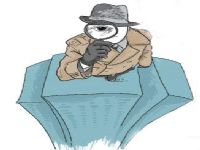 舞钢取证公司解说第三者承担离婚赔偿责任吗
